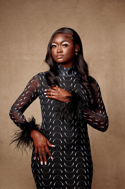 TAG LONG SLEEVE MAXI MESH DRESS